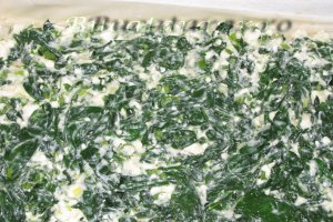 Spanakopita