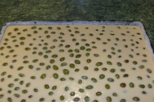 Prajitura cu struguri