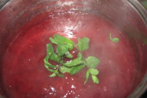Gem de prune cu menta si scortisoara