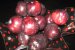 Gem de prune cu menta si scortisoara-4