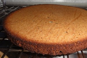 Tort cu lichior de oua  (Eierlikörtorte)
