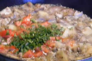Tocanita de ciuperci Pleurotus cu vinete - de post