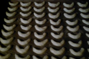 Cornulete cu vanile(Vanillekipferl)