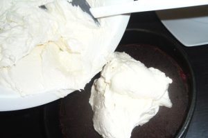 Tort Ying si Yang
