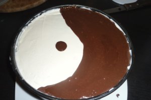 Tort Ying si Yang