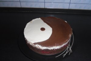 Tort Ying si Yang