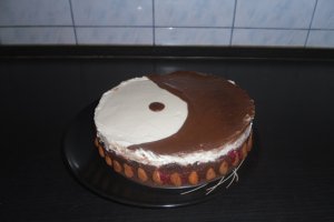 Tort Ying si Yang
