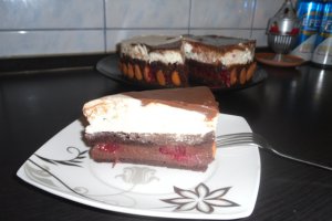 Tort Ying si Yang