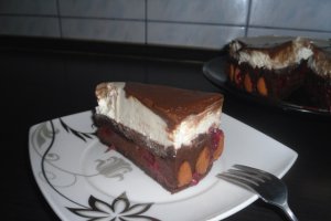 Tort Ying si Yang
