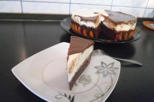 Tort Ying si Yang
