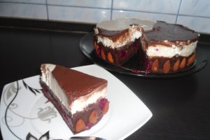 Tort Ying si Yang