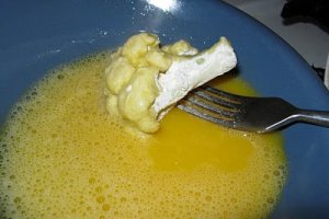 Conopidă pane