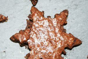 Basler Brunsli - Biscuiti elvetieni traditionali de Craciun