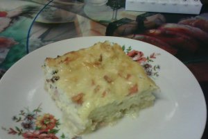 Budinca de conopida