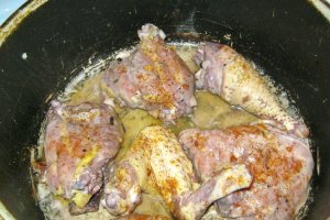 Coq au vin