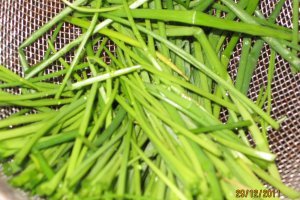 Salata orientala Panacris