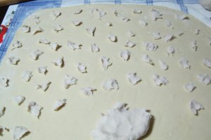 Desert haios