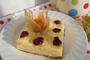 Plăcintă cu iaurt şi merişoare confiate