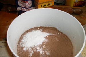 Guguluf de cacao