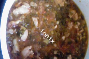 Tocanita  de ceapa verde cu pui