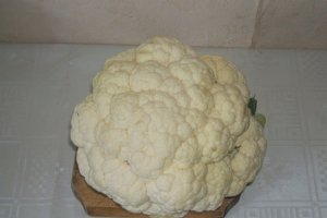 Conopidă gratinată la cuptor