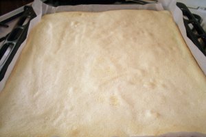 Tort buturuga