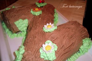 Tort buturuga