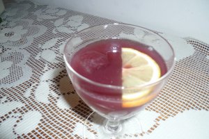 Cocktail de rodii si menta