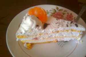 Tort Diplomat 2