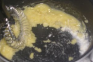 LASAGNA