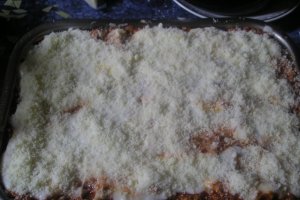 LASAGNA