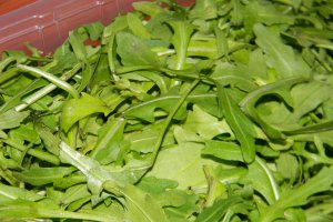 Salata cu rucola, pui si mozzarella