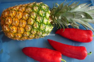 Frigarui de pui cu ananas