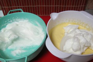 Briza marii