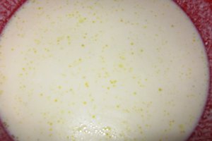 Ciorba de pui a la grec