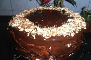 Tort Excelent