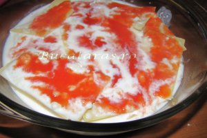 Lasagna cu pui si ciupeci