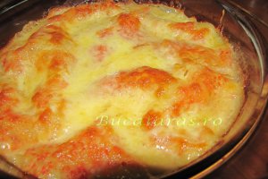 Lasagna cu pui si ciupeci