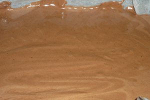 Chocolate Oblivion...reteta mea cu nr. 500!