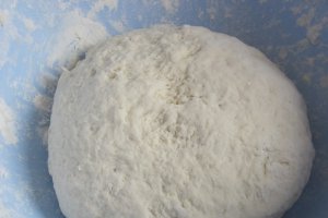 Paine Floarea soarelui