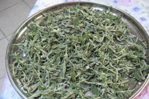 Ceai cu "Maramieh" - Ceai cu Salvia officinalis