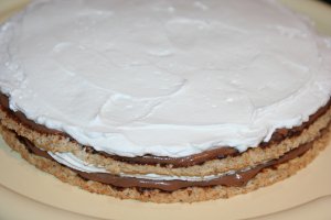 Tort Nesquik