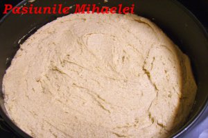 Tort cu mere si crema de vanilie