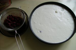 Tort cu zmeura, mandarine si mascarpone!