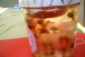 Budinca