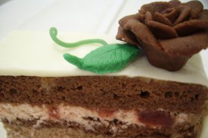Tort Carol