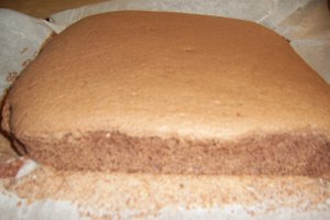 Tort Carol