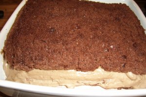 Tort Carol