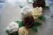 Tort Carol-2