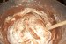 Tort Carol-5